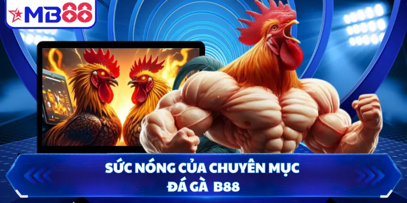 Sức nóng của chuyên mục đá gà MB88