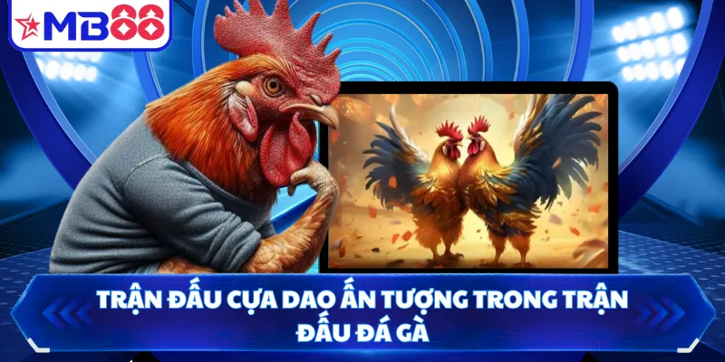 Trận đấu cựa dao ấn tượng trong trận đấu đá gà